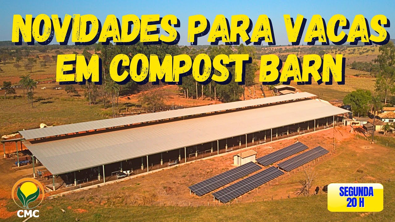 Novidades para vacas em Compost Barn