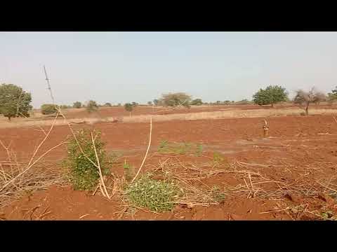  Agricultural Land 8 Acre for Sale in Humnabad, Bidar
