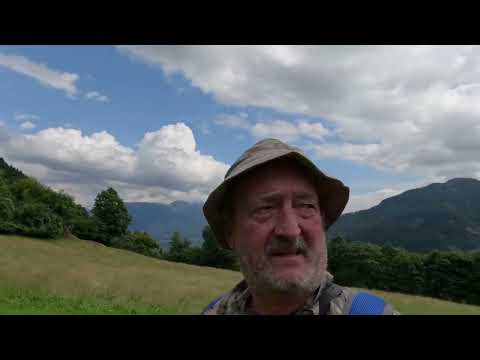 Scendendo verso gli Stavoli di Orias 