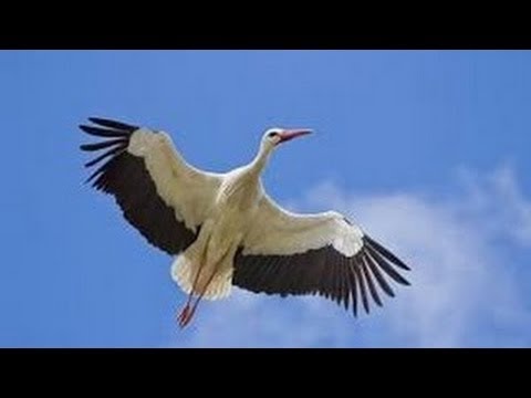 Ein Land zum träumen - Masuren [Doku deutsch]