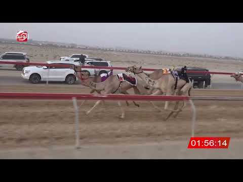  ش 8 (شاهين) لـ سعيد سليم بالاسود العامري 3:02 ، شارة الصندوق 2026/08/01 فطامين سويحان