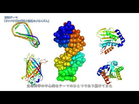 生命科学部　研究紹介（千葉先生）