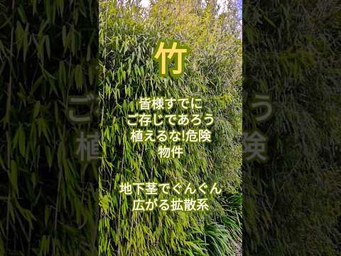 園芸 ロワイヤンの世界の庭園 (17)