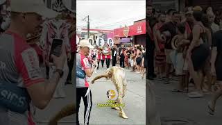 Download lagu Banda Marcial Sedec Sênior 2025 - Desfile Cívico no Bairro de Mangabeira 2025 mp3