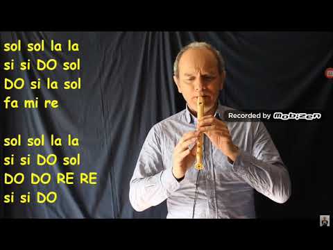 Lezioni di flauto elementare