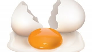 Ultimate Egg Challenge
