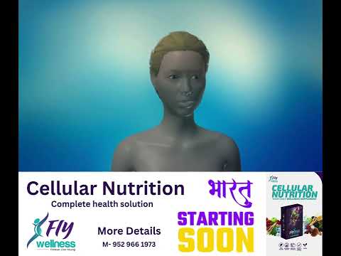 Stem Cell Flyone Cellular Nutrotion Pack