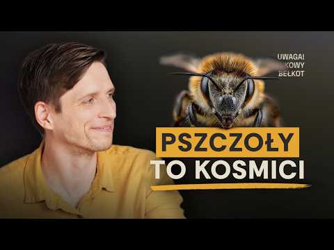 Krótki film o pszczołach