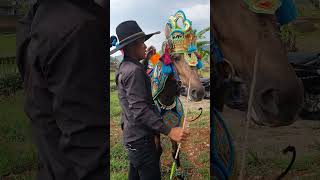 Download lagu Kuda Renggong Manis dan Gantina persiapanau manggung #shortsviral #kudarenggongterbaru #fypシ゚viral mp3 Download lagu Kuda Renggong Manis dan Gantina persiapanau manggung #shortsviral #kudarenggongterbaru #fypシ゚viral mp3