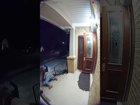 Hero Malinois Turns Into a Fur Missile to Stop Robber! 🚀🐕 #shorts #belgianmalinois #herodog