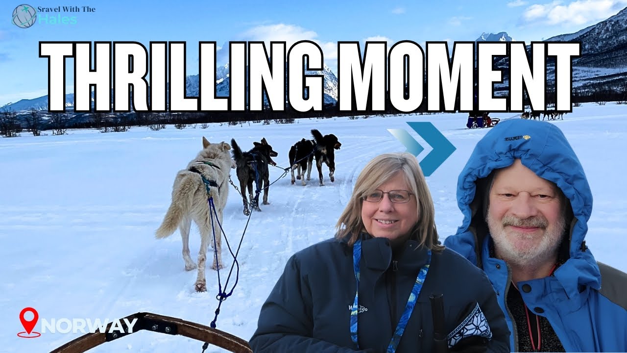 Experience the fun of Dog Sledding adventure virtually.