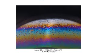 Video 0 of Product Laowa 100mm f/2.8 2X Ultra Macro APO Full-Frame Lens (2018)