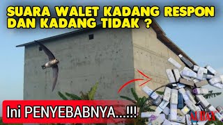 Download lagu It turns out that this is the CAUSE OF THE SWALLOW SOUND NOT RESPONDING mp3