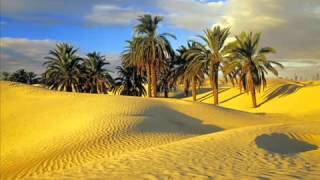 Fernando Delgadillo   Al sol del medio dia