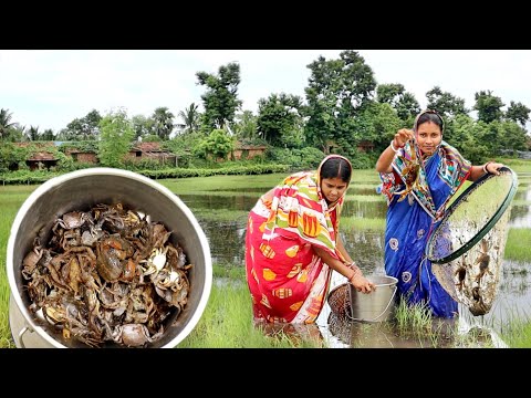 CRAB Hunting In field and Cooking masala CRAB Curry In Desi Village Style||জ্যান্ত কাঁকড়ার ঝালকষা