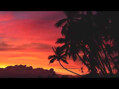 3 HOURS Best Romantic Relaxing music - Wonderful Piano - - Background - Spa - Music Therapy