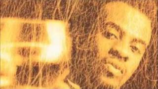 Maestro Fresh Wes & K4CE - V.I.P'S Only