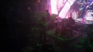 The Flaming Lips - Drug Chart Live Melboune 2011