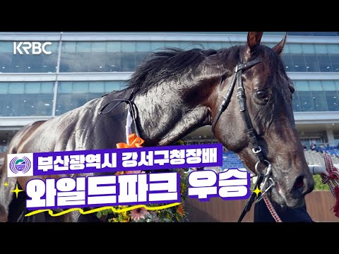 Busan Metropolitan City Gangseo-gu Mayor's Cup Review