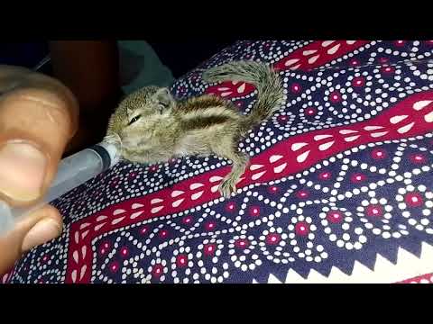 😋🥛....😋milk 🍼 time 😋🤤😋