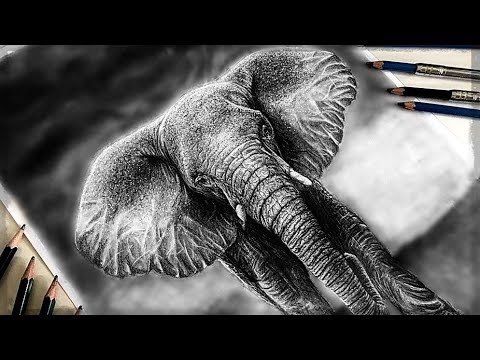 download lagu mp3 mp4 How To Draw A Realistic Elephant, download lagu How To Draw A Realistic Elephant gratis, unduh video klip How To Draw A Realistic Elephant