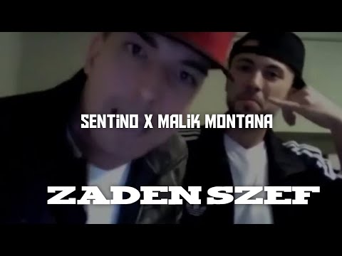 SENTINO X MALIK MONTANA - ŻADEN SZEF