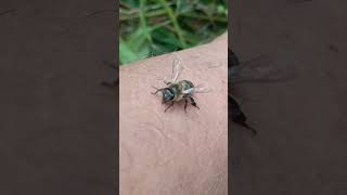 Download lagu #newmusic #music #untilifoundyou #love #bee mp3 Download lagu #newmusic #music #untilifoundyou #love #bee mp3