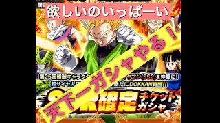 天下一ガシャ数十連やるーー！！