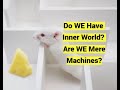Do WE Have Inner World? Are WE Mere Machines? (Behaviorism)
