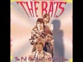 THE RATS (U.K) - Guitar Boogie (1968)