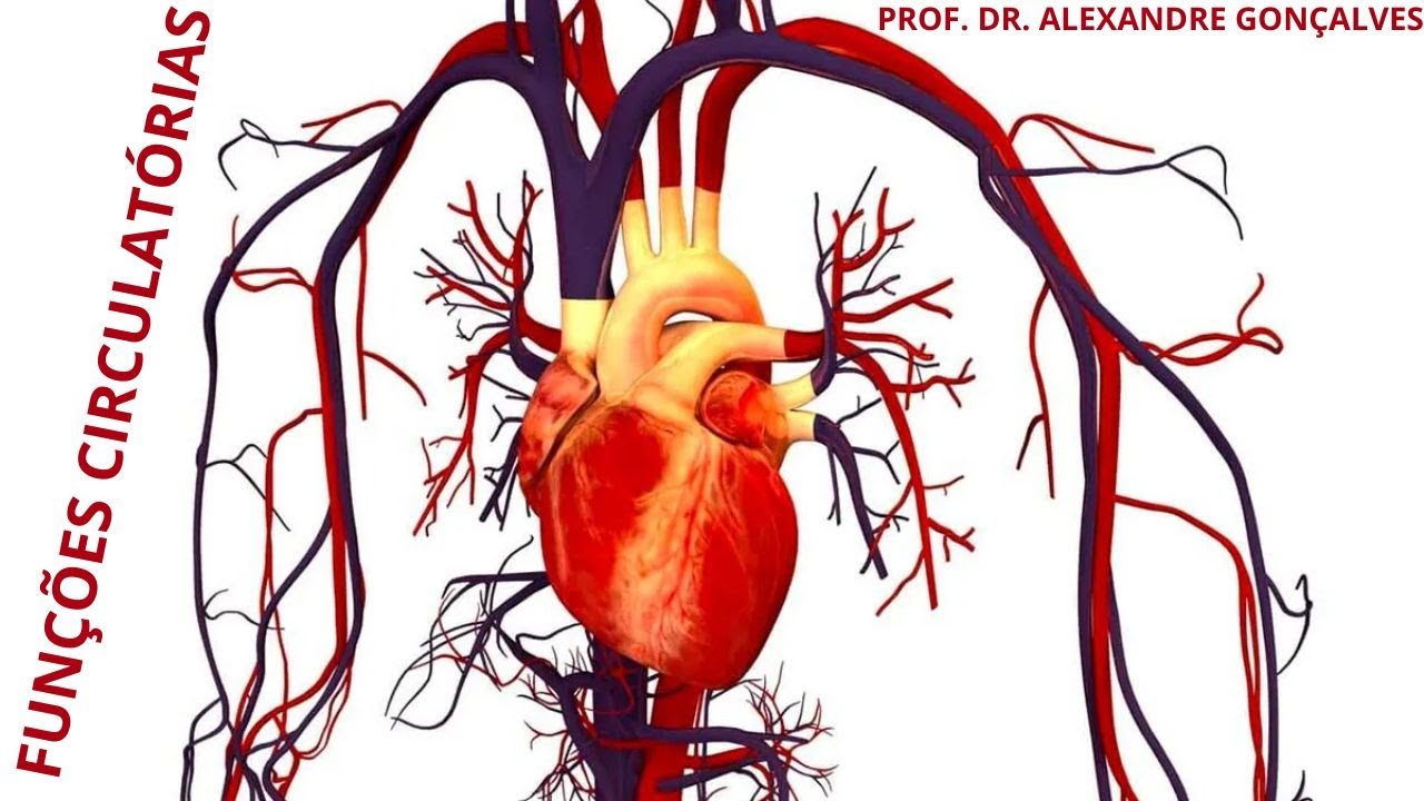 Funções Circulatórias