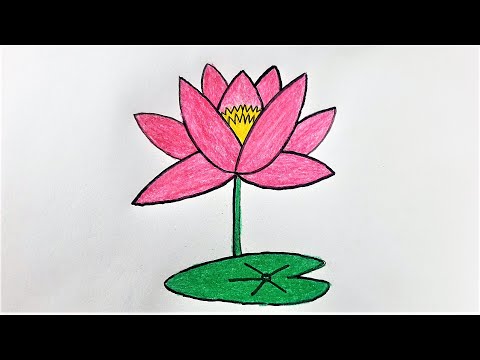 How to draw a Sapla Flower 🌼 Water LiLi 🌼 Lotus Flower
