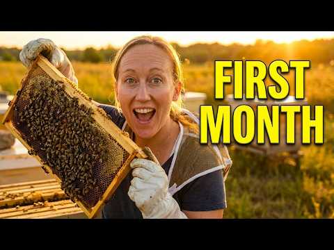 New Beekeeper? Here's Your First Month Roadmap