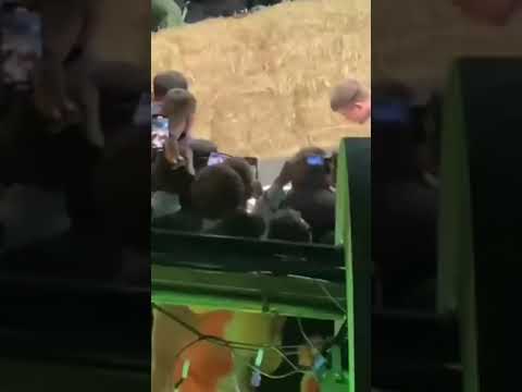 wow! what a knockout!