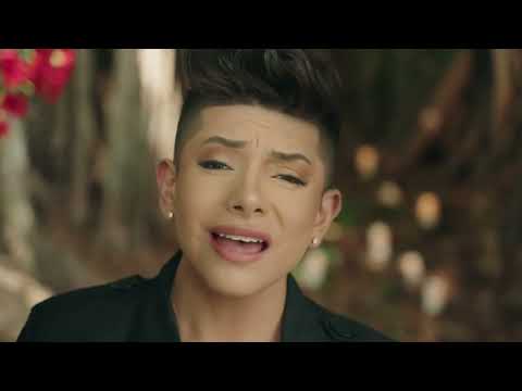 Lloran Las Rosas - Bryan Arambulo ( Video Oficial) - Primicia 2024.