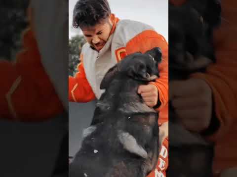 Jasper z Atarova Sadu