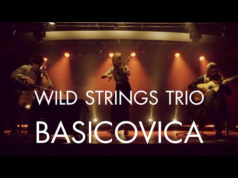 Wild Strings Trio - Basicovica
