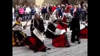 preview picture of video 'Doñinos de Salamanca(Grupo de baile charro) en Fermoselle'