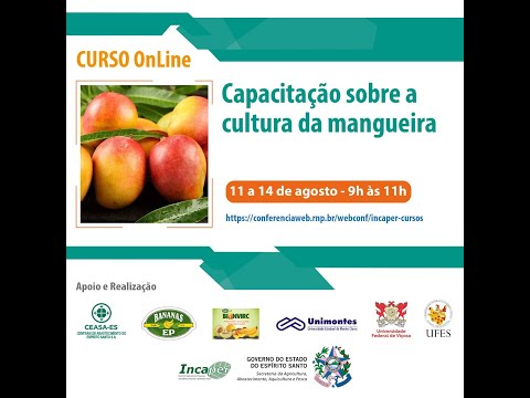 , title : 'Capacitação sobre a Cultura da Mangueira - 4ª parte.'