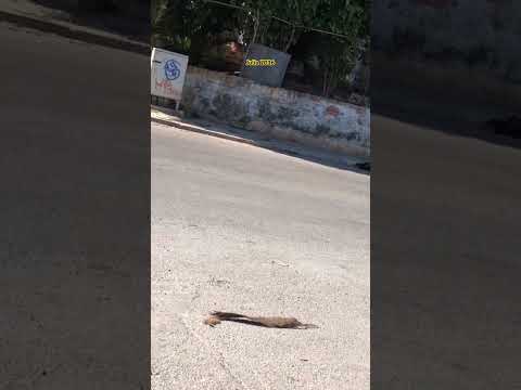11 y 20 La Habana Plaza de La Revolución 🇨🇺