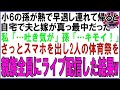 【スカッと】小6の孫が熱で早退し連れて帰ると自宅で夫と嫁が真っ最中だった…私「…吐き気が」孫「…キモイ！」さっとスマホを出し2人の体育祭を親族全員にライブ配信した結果w（朗読）