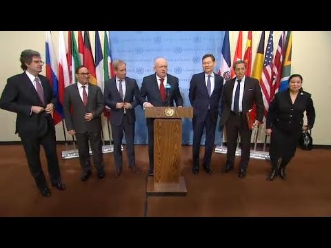 Second Anniversary of Ambassador Vitaly Churkin's death  - Media Stakeout (20 February 2019)