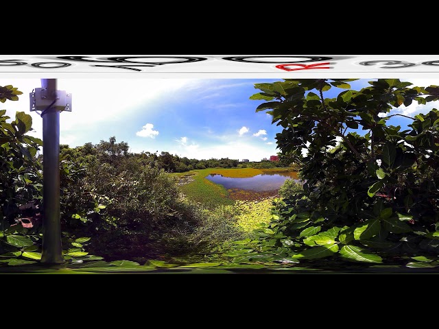 高雄洲仔濕地公園2