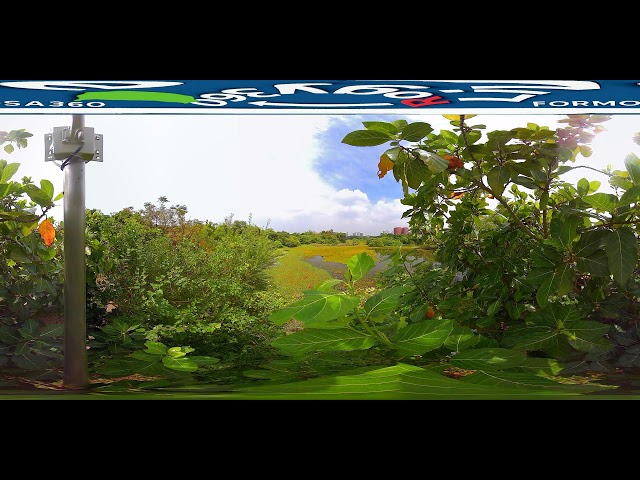 高雄洲仔濕地公園2