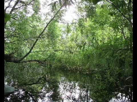 Marek i Wacek - Lato