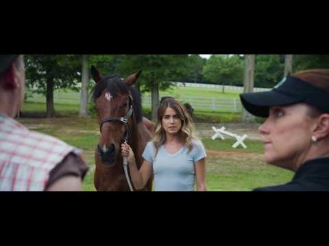 download lagu mp3 mp4 A Sunday Horse True Story, download lagu A Sunday Horse True Story gratis, unduh video klip A Sunday Horse True Story