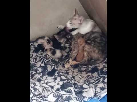 Vídeo de Ainda nao tem nome 