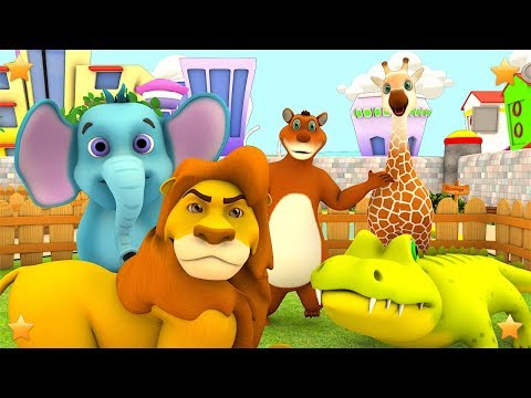 The Zoo Song | We're going to the Zoo | Animals Song
