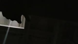 "Falling Slowly" Live (audio only) - Celtic Thunder