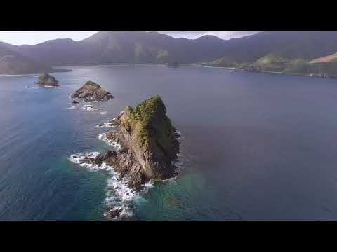 奄美大島 西古見